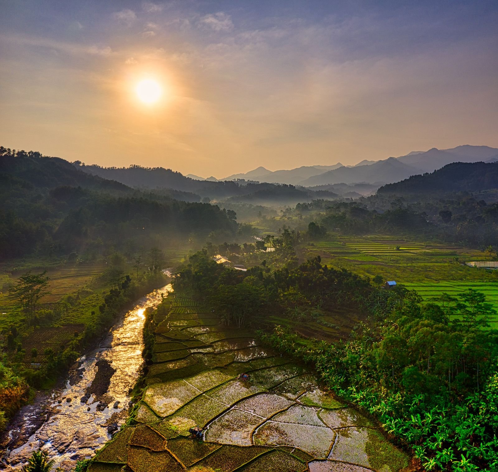 Aerial view of terraced rice fields, representing the staple crop at the centre of the fortification programme